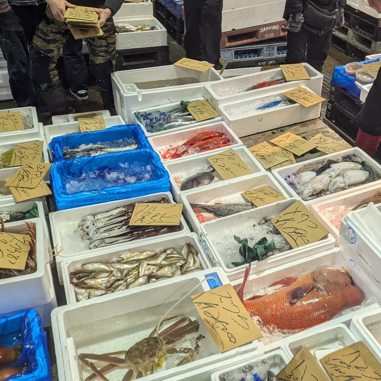 市場はこんな感じで魚が並んでます、 