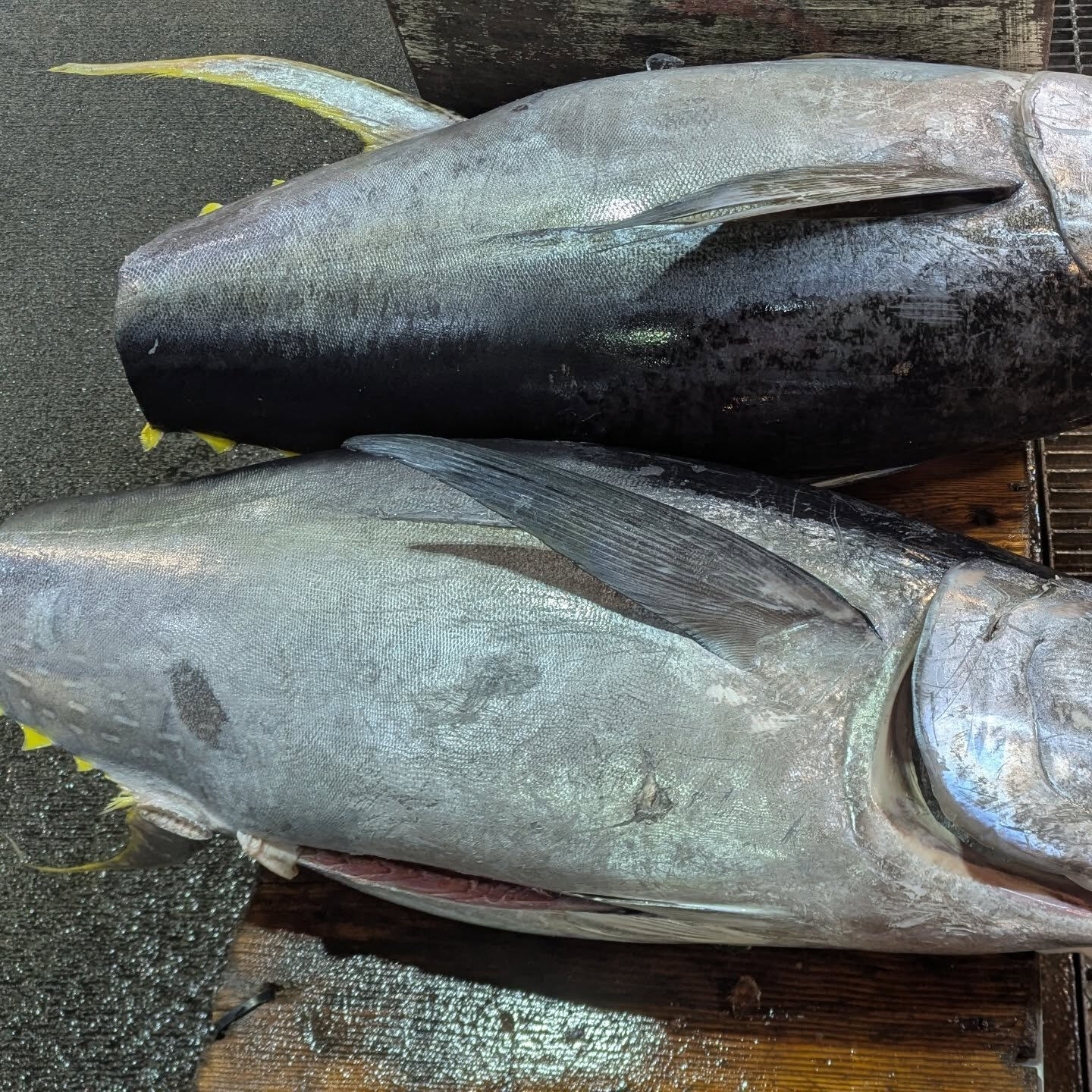 市場はこんな感じで魚が並んでます、 