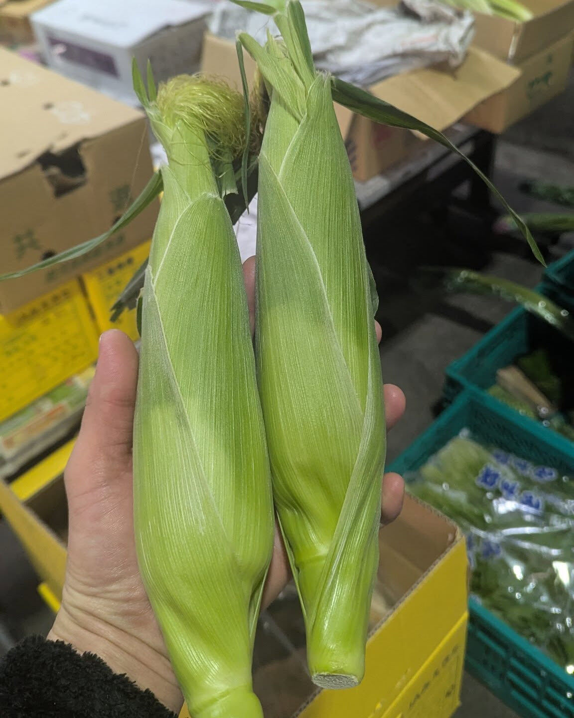 おはようございます、