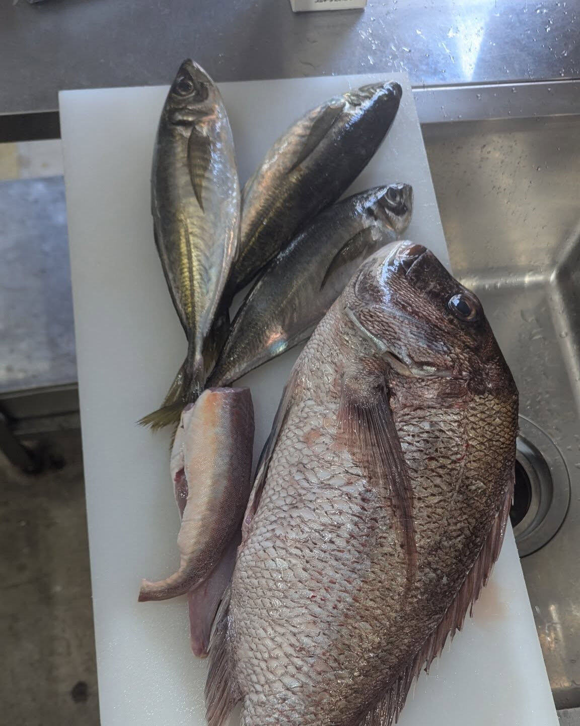 市場から戻って魚おろしかいしです！