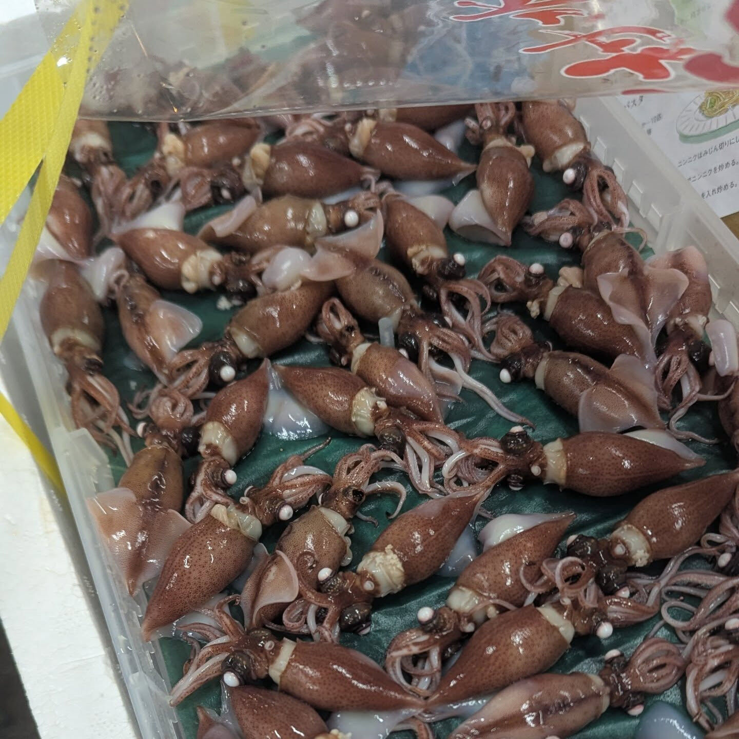 おはようございます、