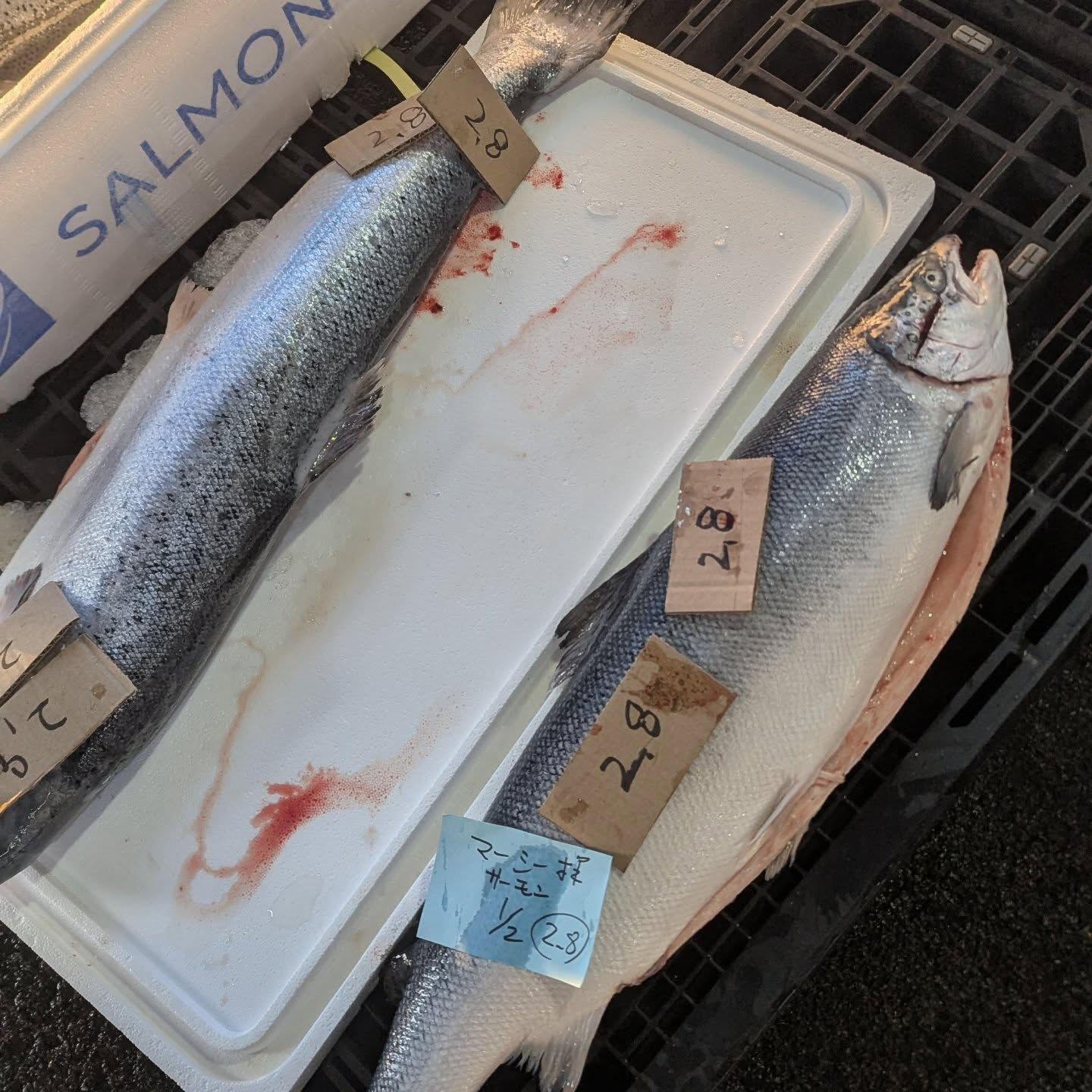 本日のランチサラダのお魚は、初登場サーモンです、