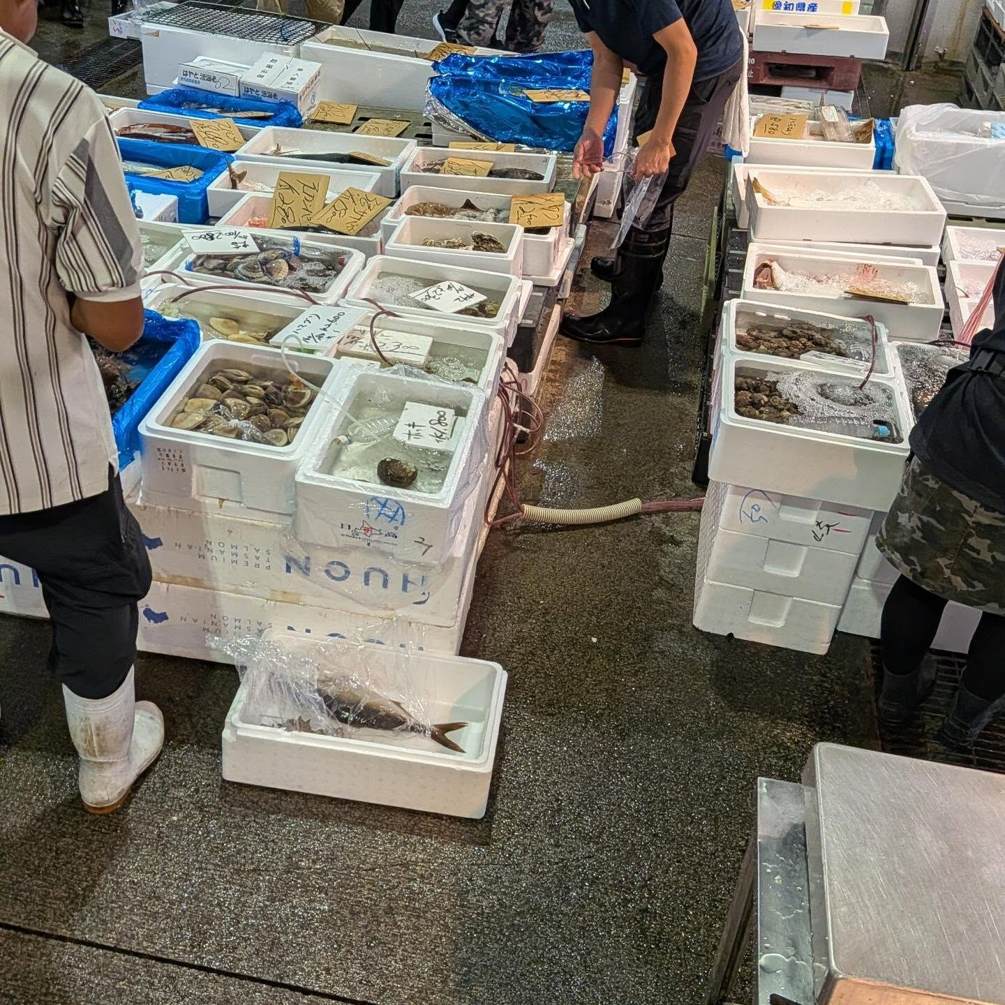 おはようございます！